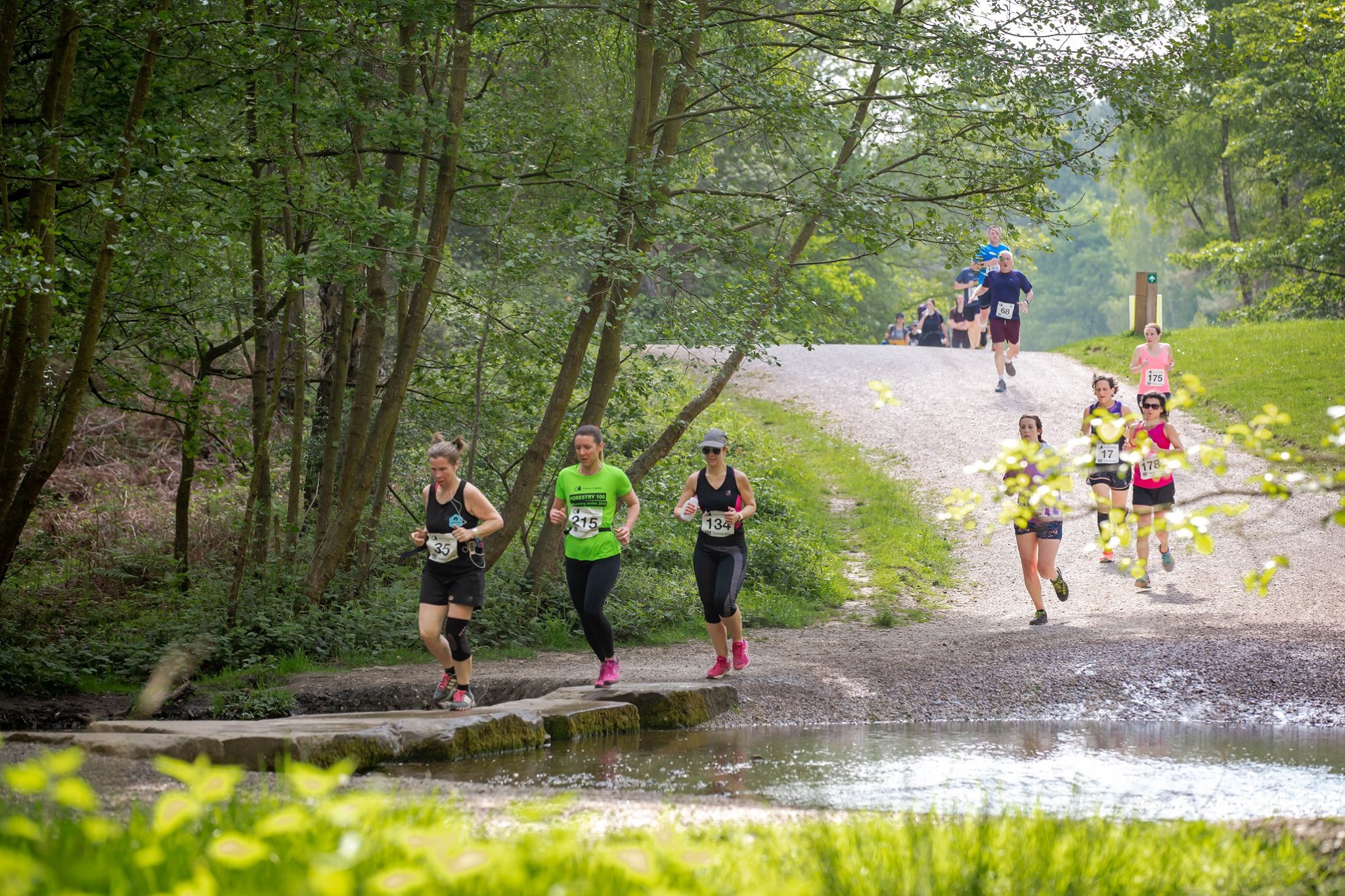 Cannock Chase Forest Half Marathon & 10k